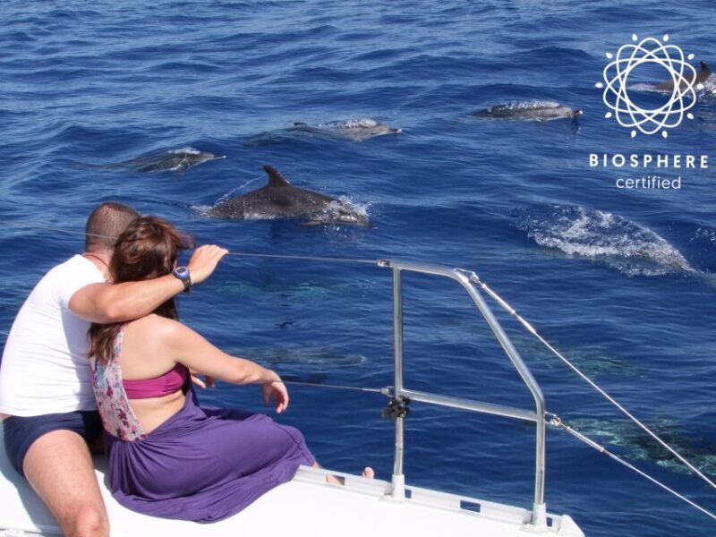 Funchal: Cabo Girão, Wines Tasting and Dolphins Watching - A Deep Dive into the Experience