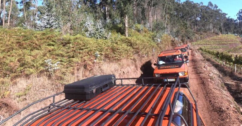 Funchal: Câmara Lobos & Girão Sea Cliff Half-Day Jeep Tour - Vineyards and Traditional Flavors