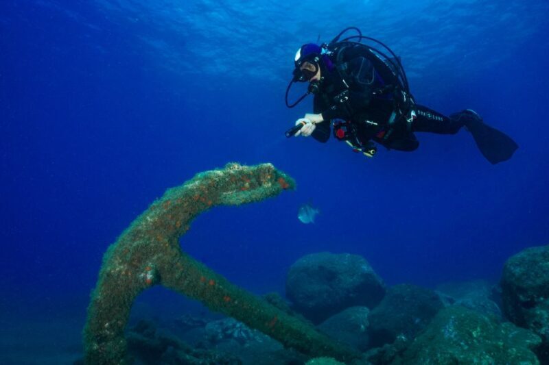Funchal: Certified Scuba Diving, Guided Tour - The Sum Up