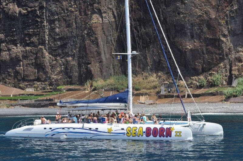Funchal: Dolphin and Whale Watching Catamaran Cruise - Final Thoughts