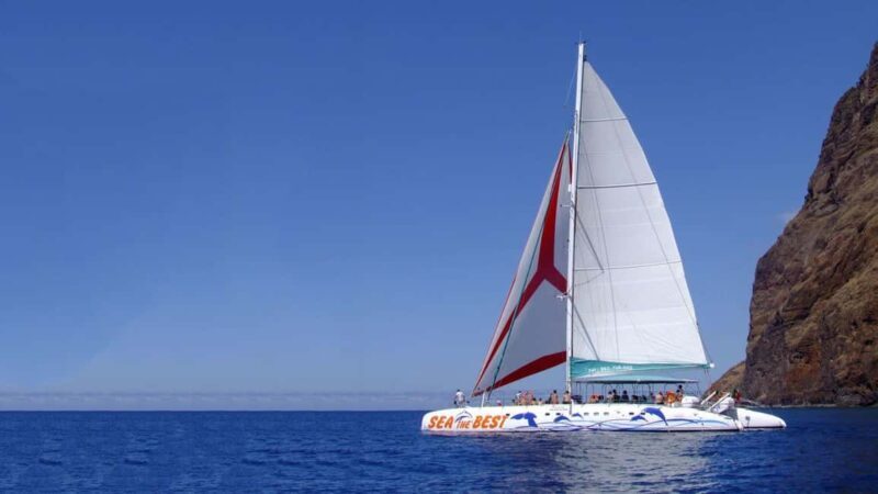 Funchal: Dolphin and Whale-watching Catamaran Tour - The Value of the Experience