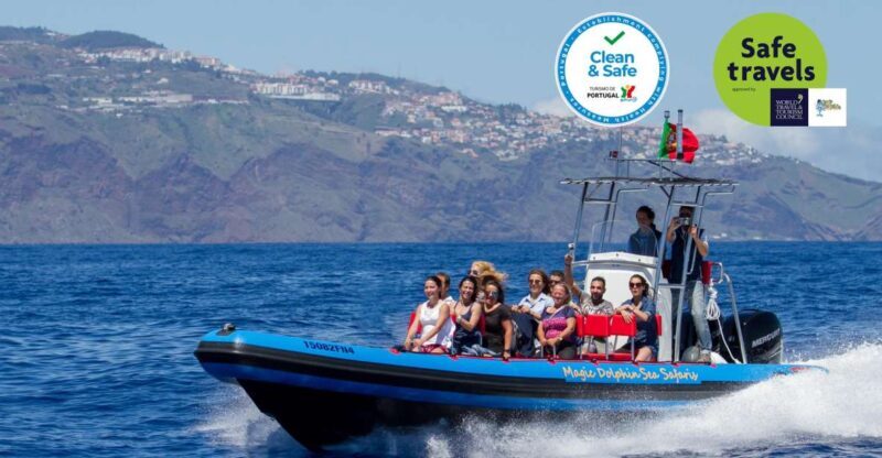 Funchal: Dolphin and Whale Watching Cruise - The Sum Up