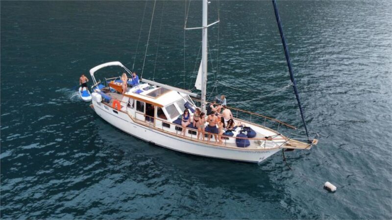 Funchal: Dolphin and Whale Watching Sailing Trip - Funchal: Dolphin and Whale Watching Sailing Trip
