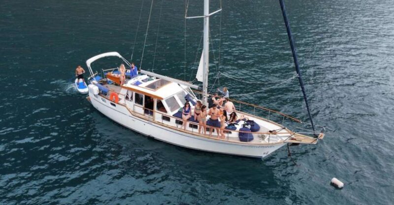 Funchal: Dolphin and Whale Watching Sailing Trip - The Sum Up: Is This Tour Worth It?