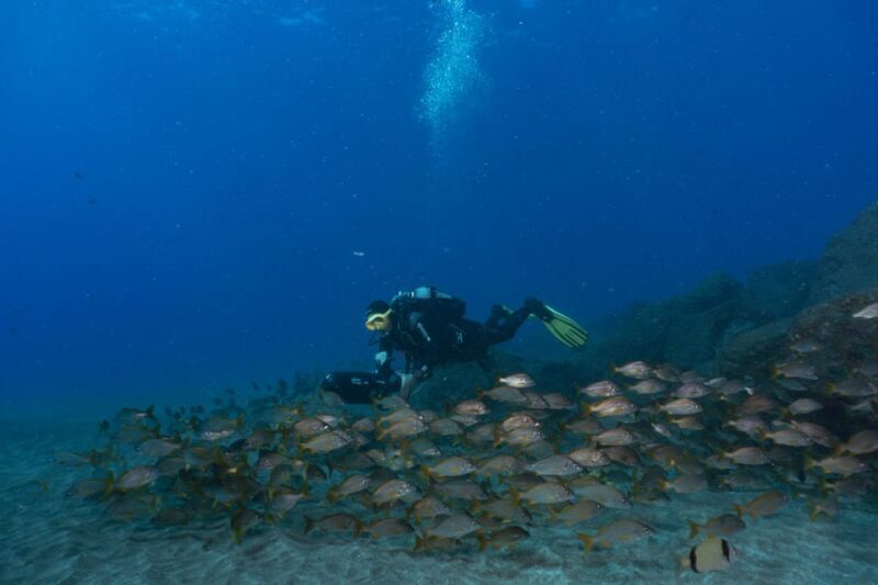 Funchal: DPV- Scooter Dive Adventure - FAQ