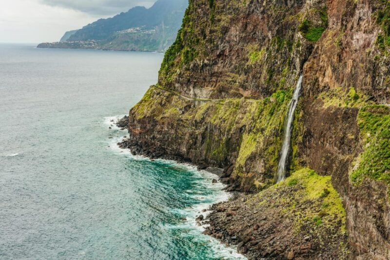 Funchal: Enchanted Terraces, Porto do Moniz & Fanal 4WD Tour - Funchal: Enchanted Terraces, Porto do Moniz & Fanal 4WD Tour — A Complete Guide