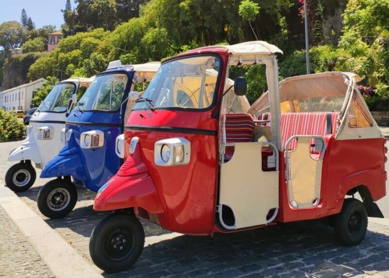 Funchal: Guided City Tuk-Tuk Tour - The Experience and Guide Quality