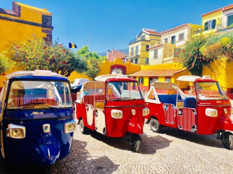 Funchal: Guided City Tuk-Tuk Tour - Who Will Benefit Most from This Tour?