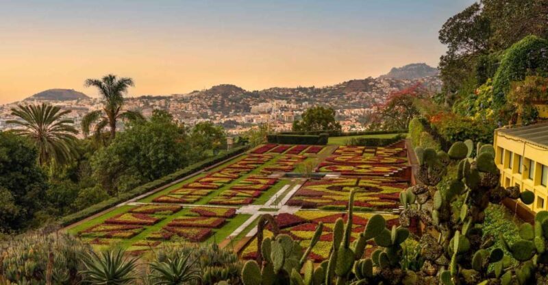 Funchal: Guided Old Town Tuk Tuk Tour and Botanical Gardens - Why This Tour Stands Out