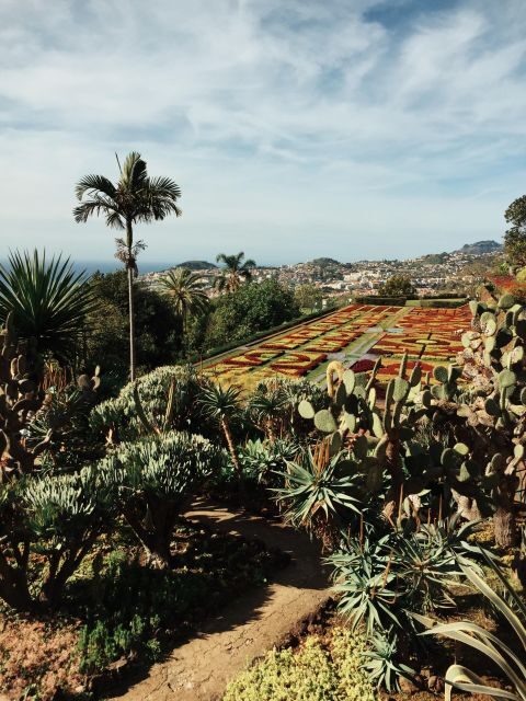 Funchal: Guided Old Town Tuk Tuk Tour and Botanical Gardens - The Experience from a Traveler’s Perspective