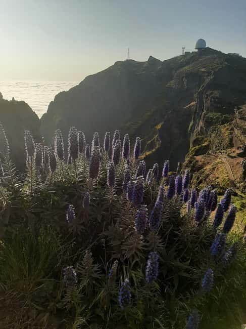 Funchal: Guided Sunrise Walk & Stairway to Heaven - The Value of the Tour