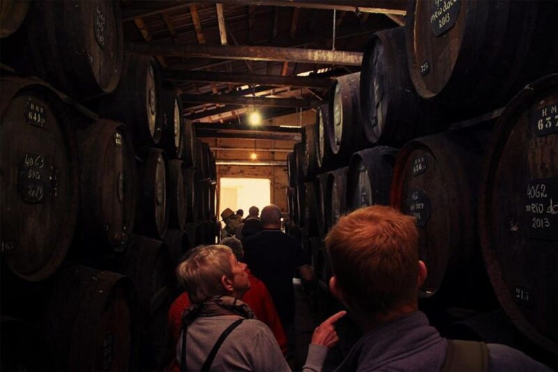 Funchal: H.M. Borges Winery Guided Tour with Wine Tasting - An In-Depth Look at the H.M. Borges Wine Tour