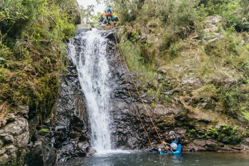 Funchal: Half-Day Beginner-Friendly Canyoning Experience - Why Choose This Tour?