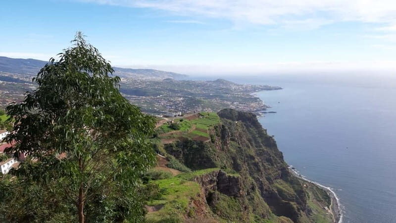 Funchal: Half-Day South Madeira Island Private Tour - The Practicalities: What to Expect