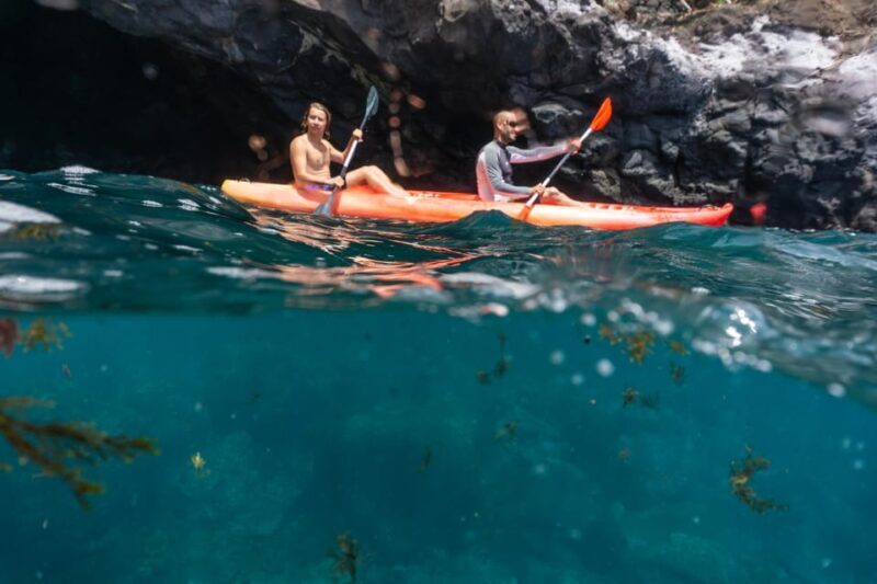 Funchal: KAYAK Rental or Guided tour with snorkeling - Key Points