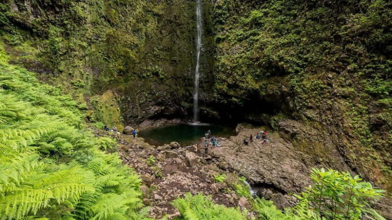 Funchal: Levada Caldeirão Verde Waterfalls and Forests Hike - Funchal: Levada Caldeirão Verde Waterfalls and Forests Hike