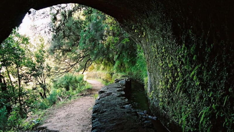 Funchal: Levada Caldeirão Verde Waterfalls and Forests Hike - Frequently Asked Questions