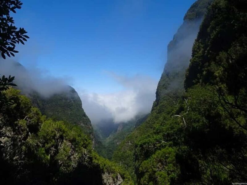 Funchal: Levada Caldeirão Verde Waterfalls and Forests Hike - Final Thoughts
