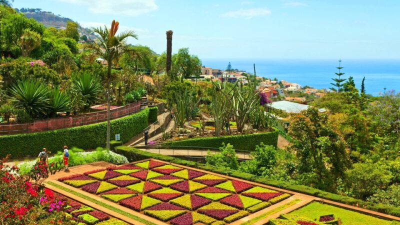 Funchal: Madeira Botanical Garden Private Tuk-Tuk Tour - Final Thoughts