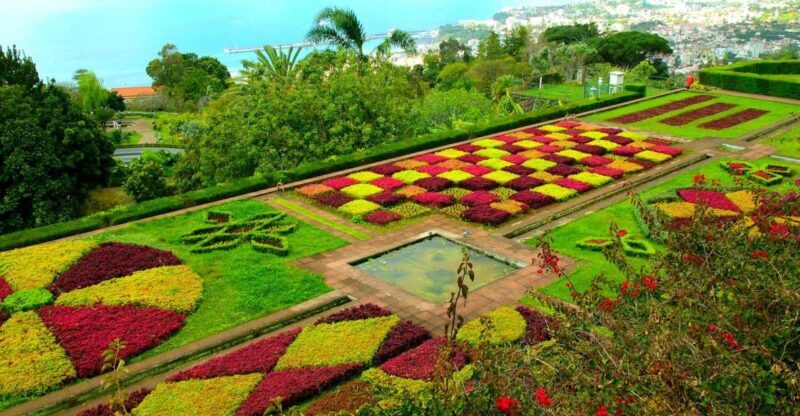 Funchal: Madeira Botanical Garden Private Tuk-Tuk Tour - FAQ