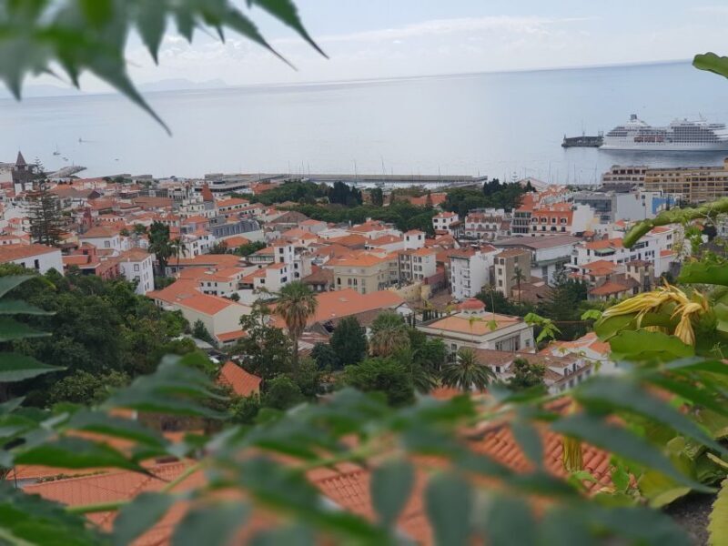 Funchal: Monte and Old Town Tour by Tuk-Tuk - Practical Tips for Your Tour