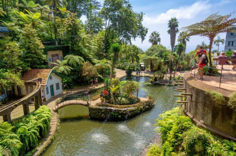 Funchal: Monte Palace Tropical Gardens Tuk Tuk Tour - The Itinerary in Detail