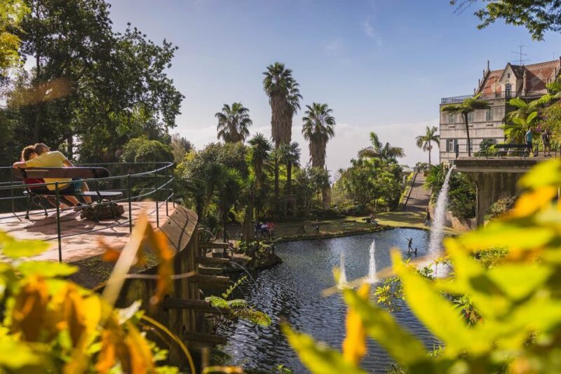 Funchal: Monte Tropical Garden & Toboggan Ride by Tuk Tuk - In-Depth Review