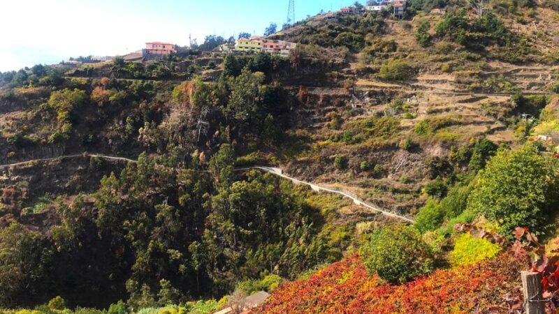 Funchal: Northern Levada Walking Tour - Funchal: Northern Levada Walking Tour — A Practical Guide to Authentic Madeira