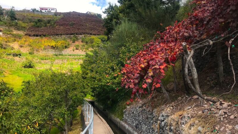 Funchal: Northern Levada Walking Tour - FAQ - Frequently Asked Questions