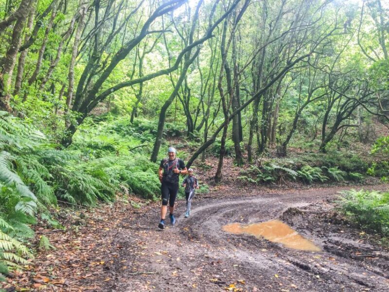Funchal: Ocean to Mountain Running Tour - The Sum Up