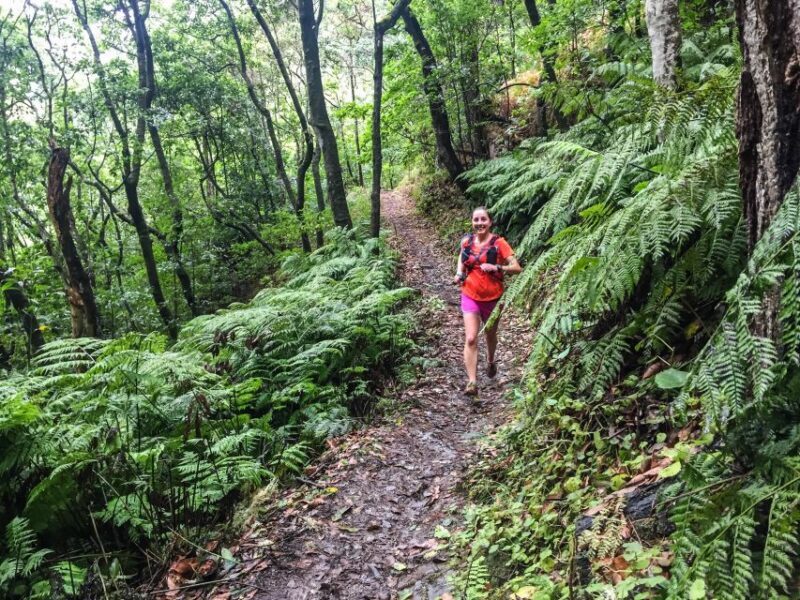 Funchal: Ocean to Mountain Running Tour - FAQ