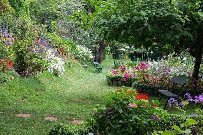 Funchal Old Town & Palheiro Gardens Private Tuk Tuk Tour - An In-Depth Look at the Tour Experience