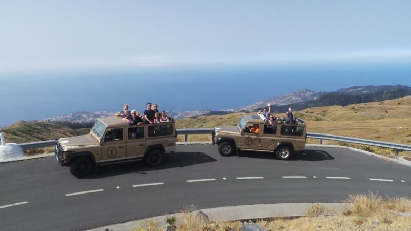 Funchal: Pico Arieiro, Cristo Rei and Dolphins Watching - FAQ