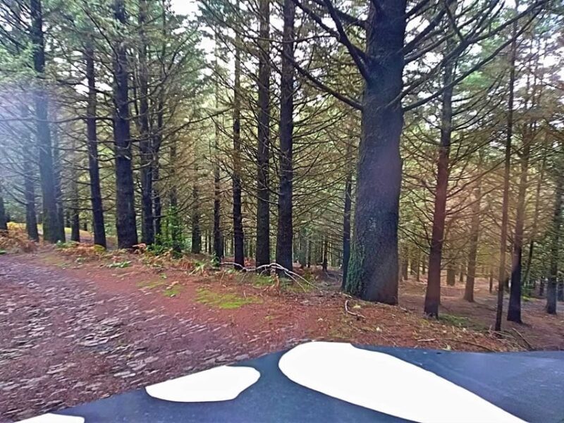 Funchal: Pico do Areeiro to Santana 4x4 East Tour - The Value Proposition: Is It Worth It?