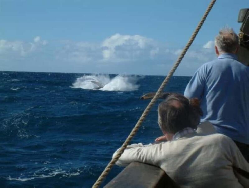 Funchal: Pirate Ship Cruise with Wine and Honey Cake Tasting - Practical Details and What to Expect