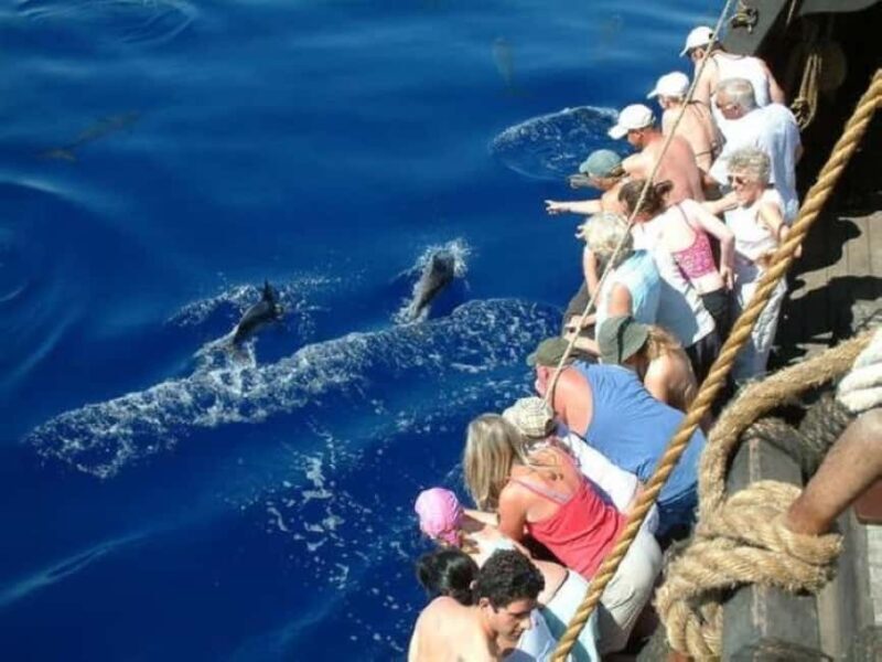 Funchal: Pirate Ship Cruise with Wine and Honey Cake Tasting - Frequently Asked Questions