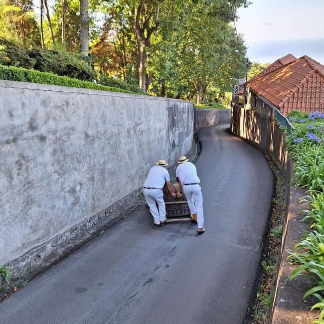 Funchal: Private Cable Car, Toboggan, and Skywalk Tour - Key Points