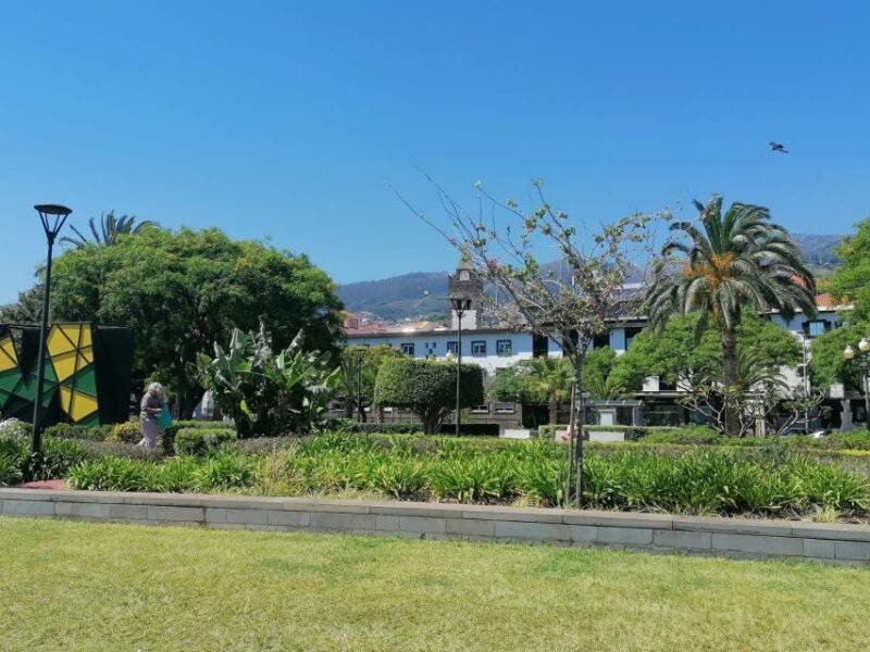 Funchal: Private Guided Tour of Historic Center by Tuk Tuk - Key Points