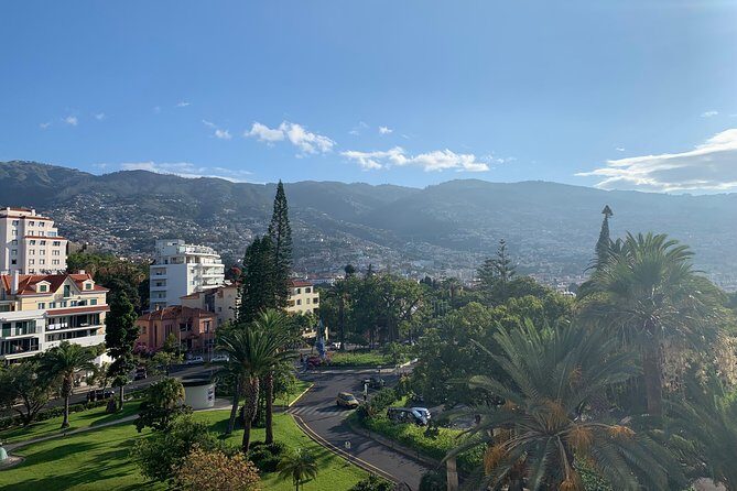 Funchal Private Transfers Service to Madeira Airport - Why Choose a Private Transfer from Funchal to Madeira Airport?
