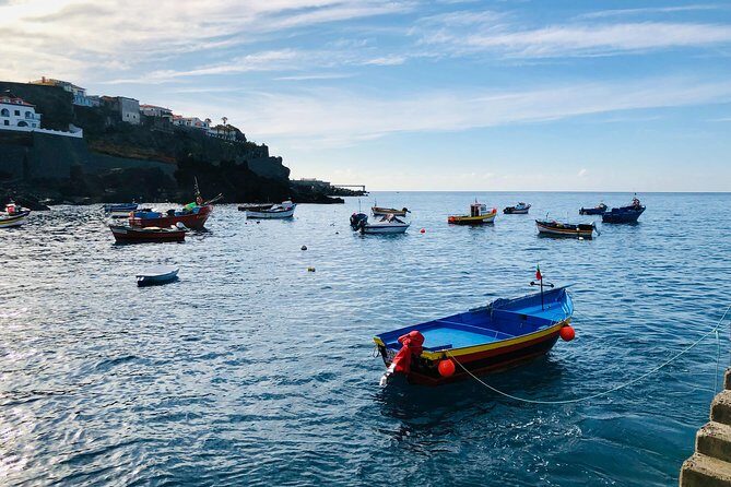 Funchal Private Vehicle Service with Driver for a Half Day or Full Day - A Deep Dive into the Experience