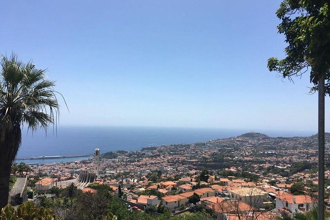 Funchal Private Vehicle Service with Driver for a Half Day or Full Day - The Sum Up