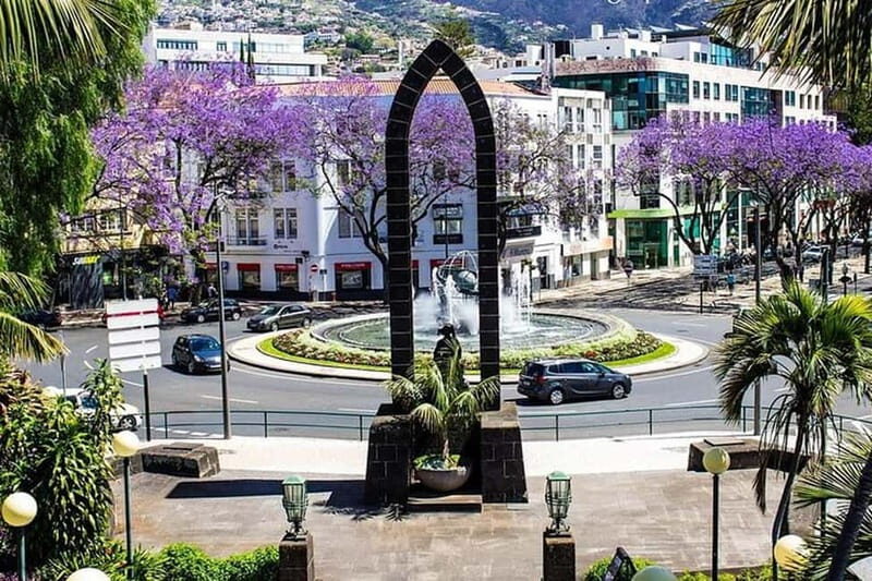 Funchal: Quick & Fun 30-Minute Tuk Tuk Tour with Local Guide - What Travelers Say