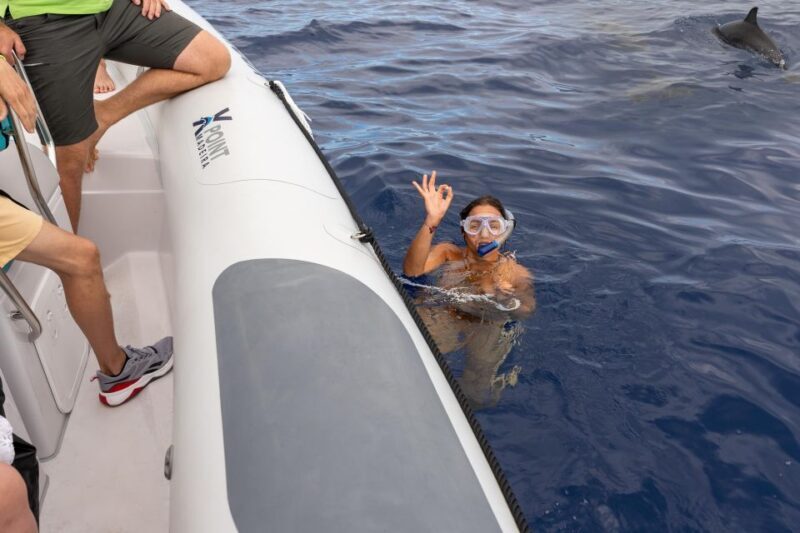 Funchal: RIB Whale Watching Cruise and Optional Dolphin Swim - Key Points