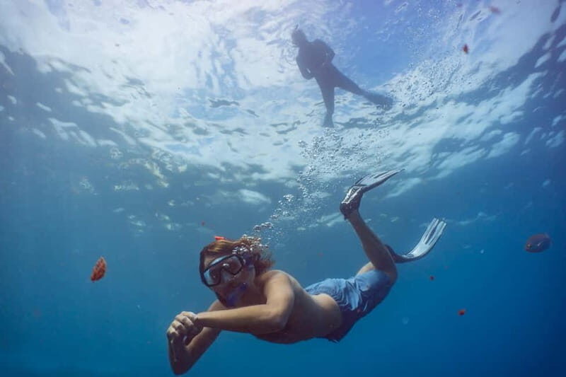 Funchal: Snorkeling Adventure in Eco-Park / Shore or by Boat - Key Points
