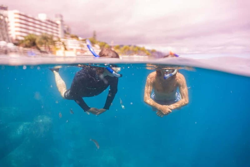Funchal: Snorkeling Adventure in Eco-Park / Shore or by Boat - What Makes This Snorkeling Tour Special?