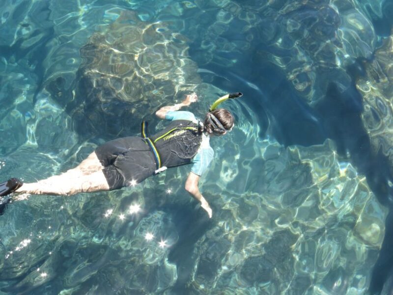 Funchal: Snorkeling Adventure in Eco-Park / Shore or by Boat - FAQ