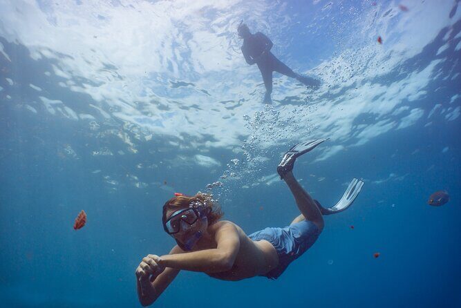 Funchal: Snorkeling Adventure in Eco-Park / Shore or by Boat - Detailed Breakdown of the Snorkeling Tour