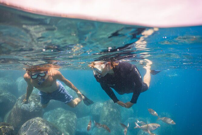 Funchal: Snorkeling Adventure in Eco-Park / Shore or by Boat - Frequently Asked Questions