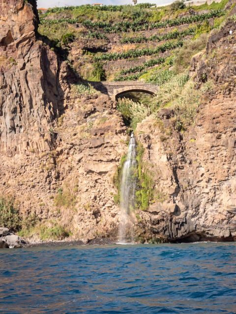 Funchal: Speedboat SEE THE ISLAND AND LIFE AT SEA - Who Should Consider This Tour?