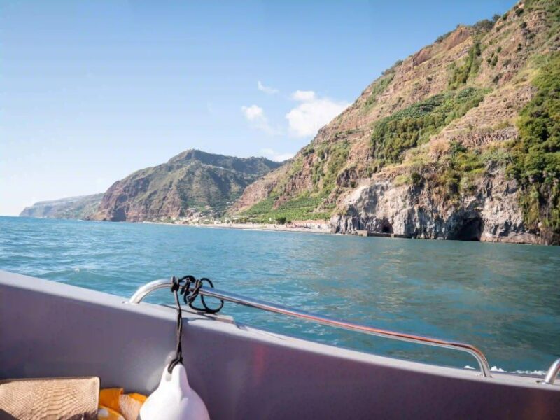 Funchal: Speedboat SEE THE ISLAND AND LIFE AT SEA - Final Thoughts: Is It Worth It?
